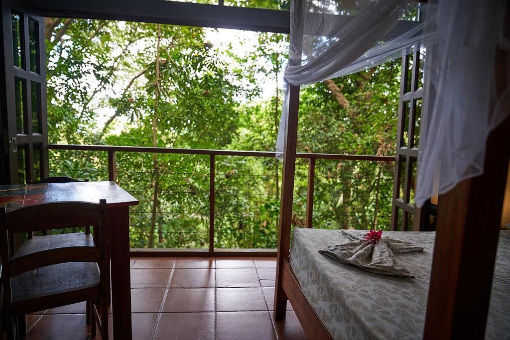 Luz En El Cielo Eco-B&B/Hostel Montezuma Kültér fotó