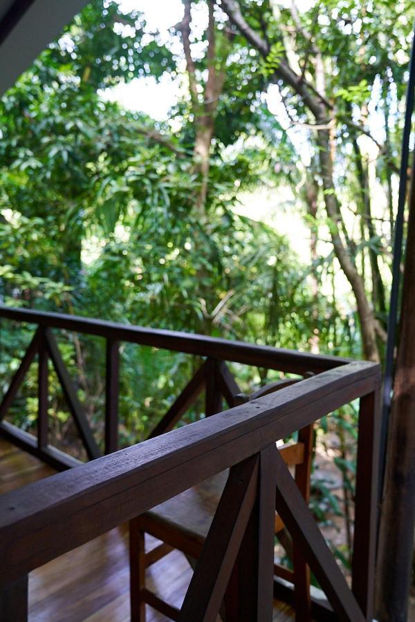 Luz En El Cielo Eco-B&B/Hostel Montezuma Kültér fotó